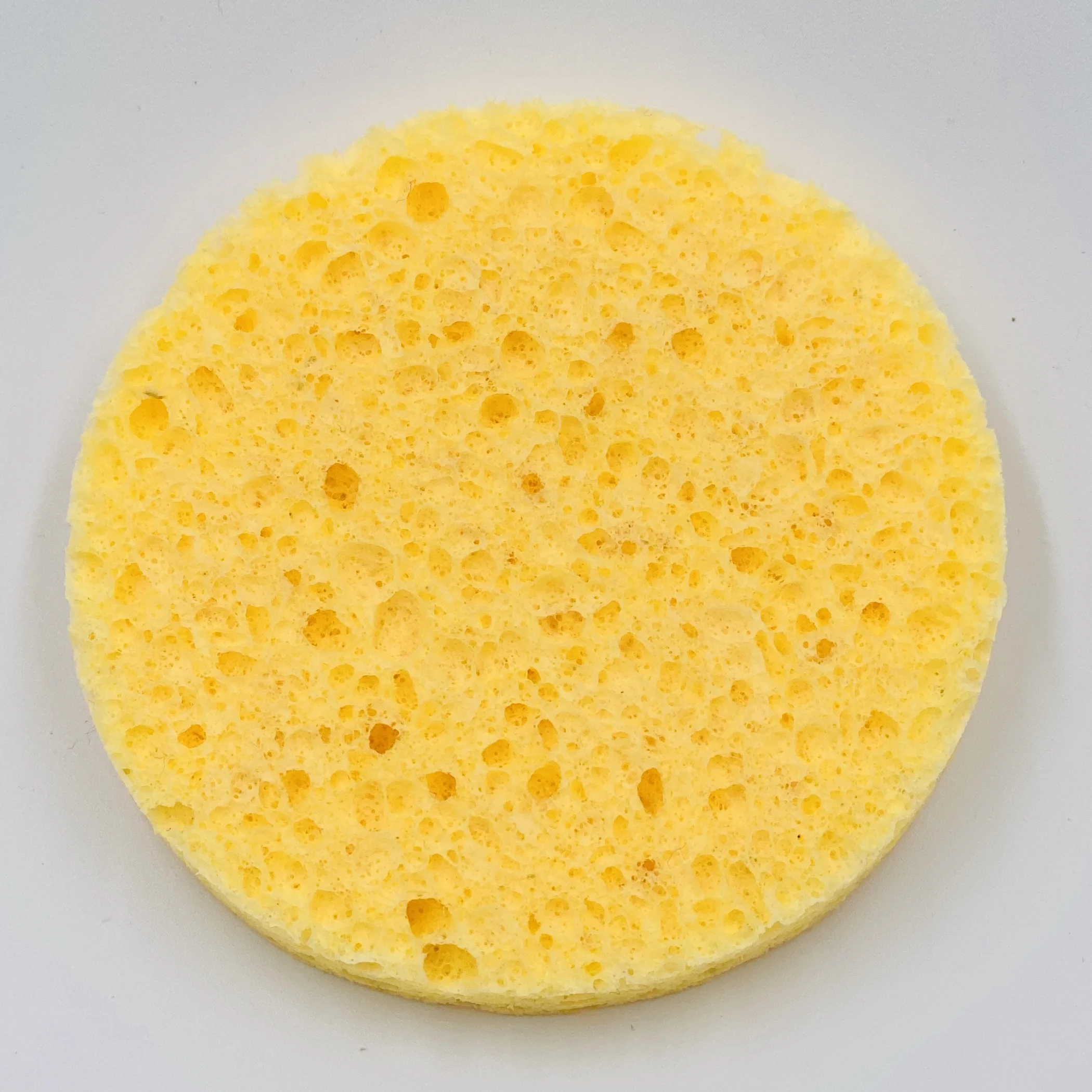 Facial Sponges