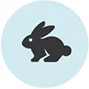 cruelty-free cruelty free