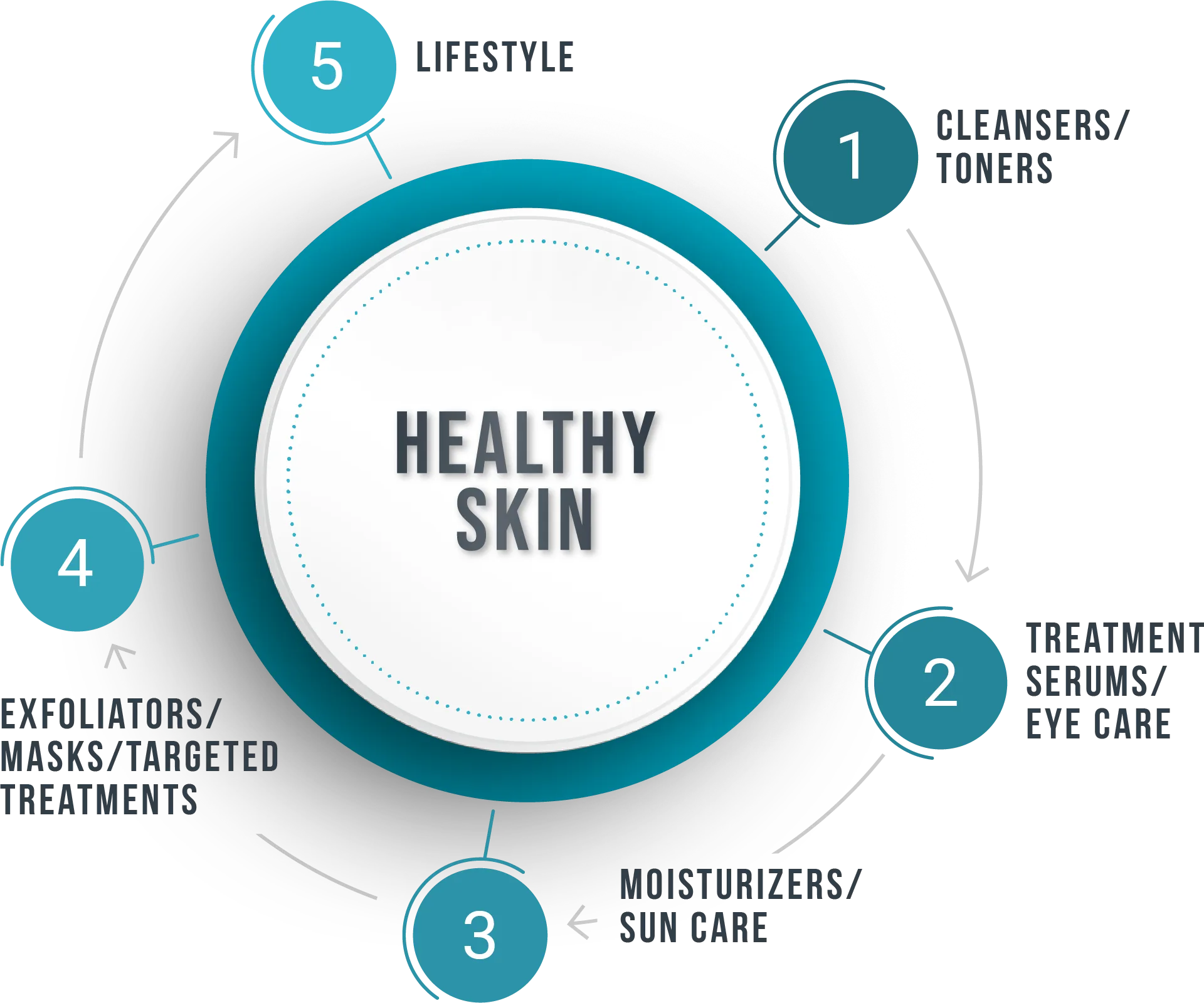 circle infographic V